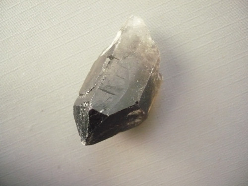 Špice - záhněda 37 mm, č.47f