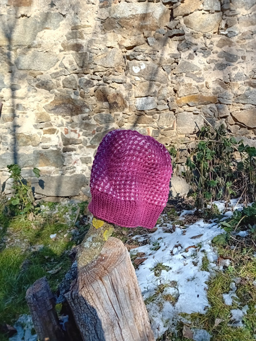 Zygocactus - merino čepice pro malou slečnu