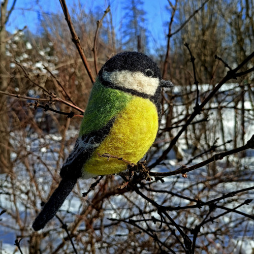 Sýkorka koňadra — foto 1