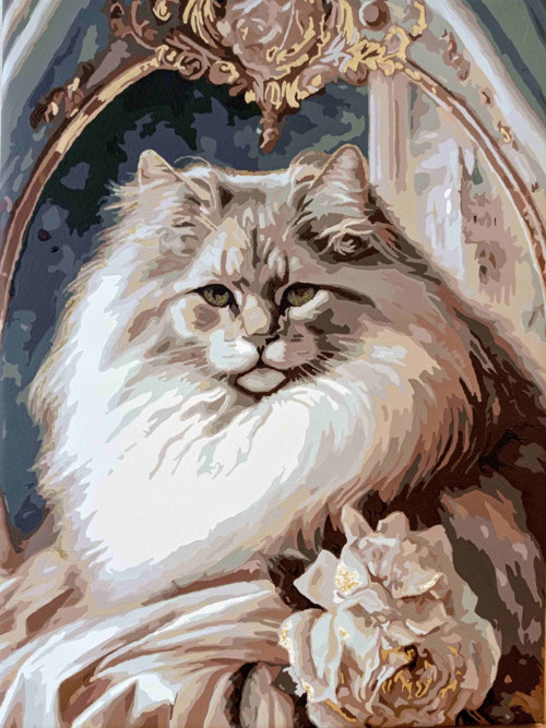 Majestátní kocour — foto 1