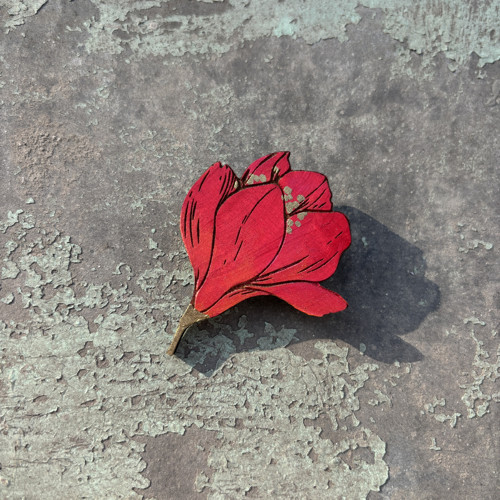 Magnolie poupě