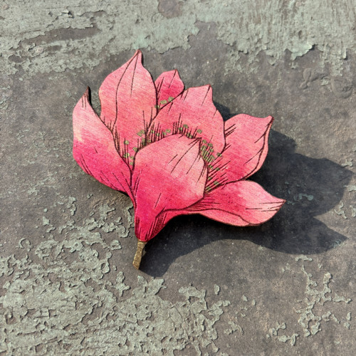 Magnolie velká — foto 1
