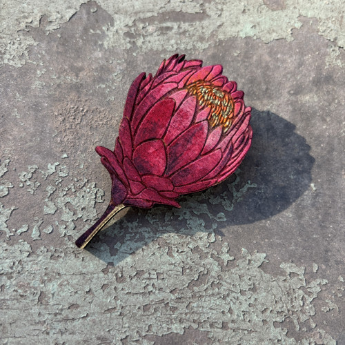 Protea — foto 1
