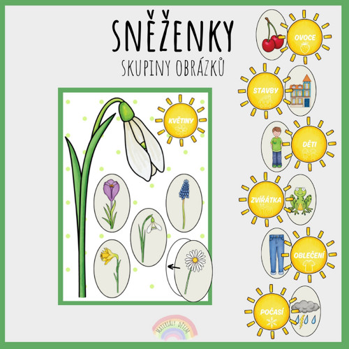 Sněženky, skupiny obrázků