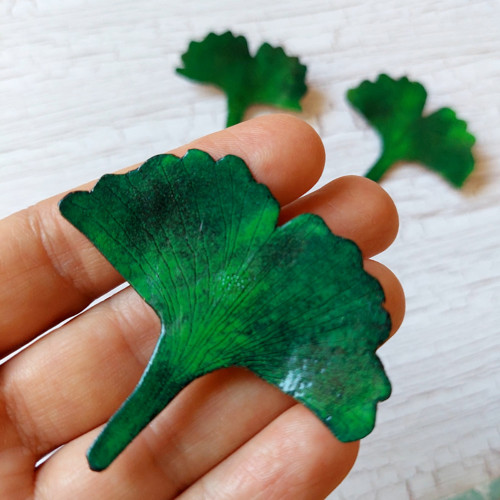 Ginko