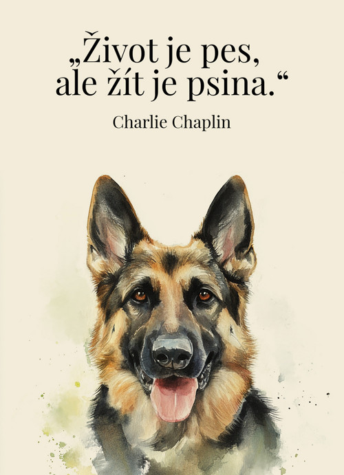 Poster A3 - Život je psina