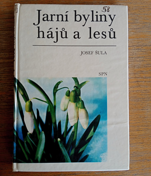Jarní byliny hájů a lesů - Josef Šula