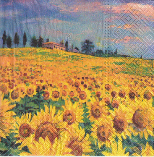 Ubrousek - slunečnicové pole