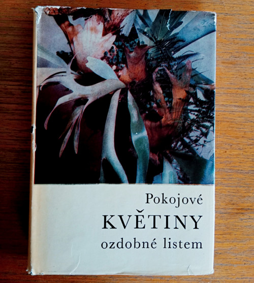 Pokojové květiny ozdobné listem