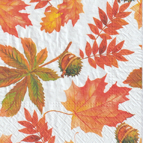Ubrousek - podzimní listí