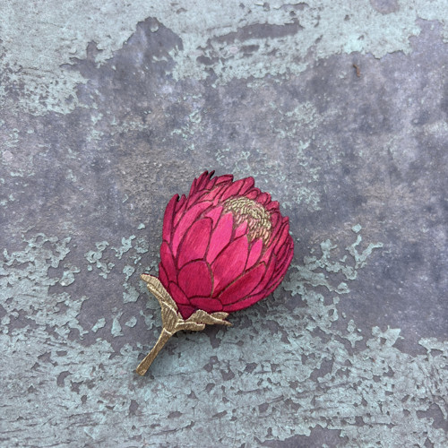 Protea — foto 1