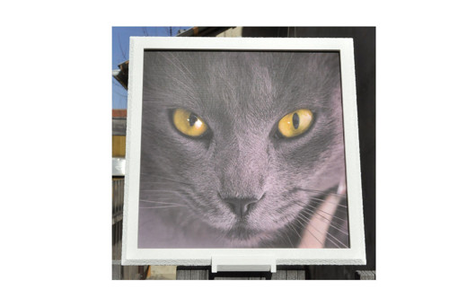 Fotoobraz 20x20 - 3