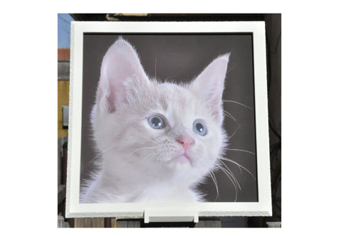 Fotoobraz 20x20 - 5