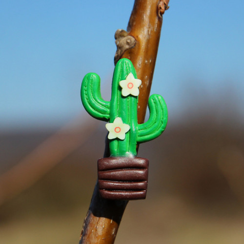 Kaktus (pin)