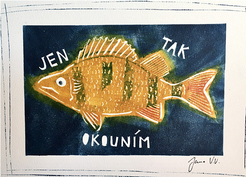 Jen tak okounim — foto 1