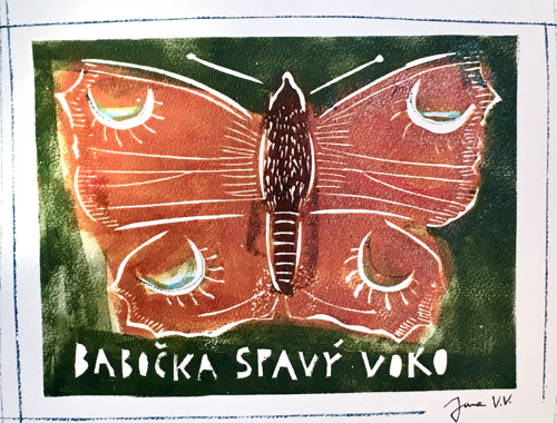 Babočka spavý voko — foto 1