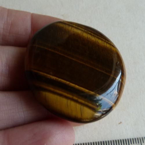 Tygří oko - 4 cm - Extra