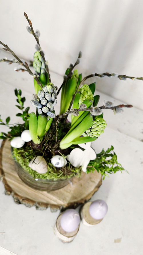 Art KRAJINKA živá dekorace modré lesní Hyacinty