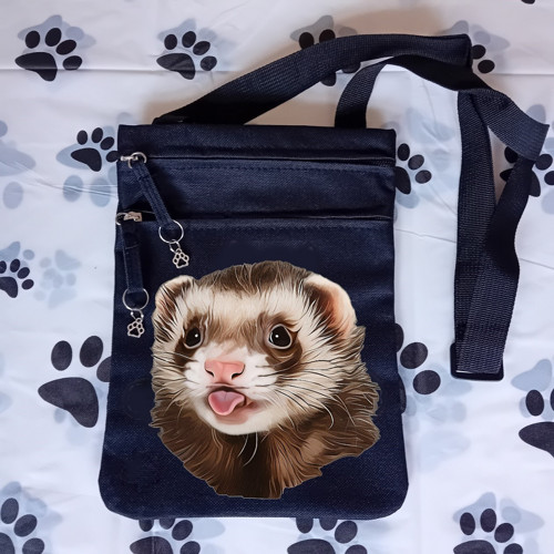 Fretka Taška Messenger