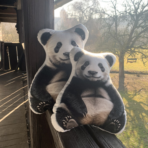 Polštář 3D - Panda velká