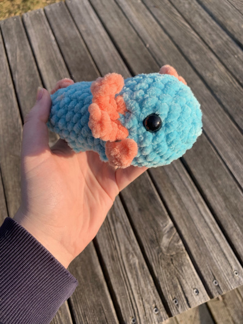Axolotl modro-lososvý — foto 1
