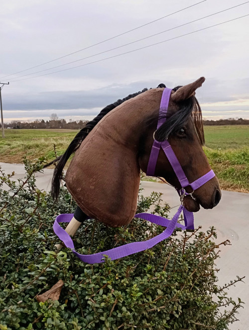 Hobby horse Dark-Chocolate — foto 1