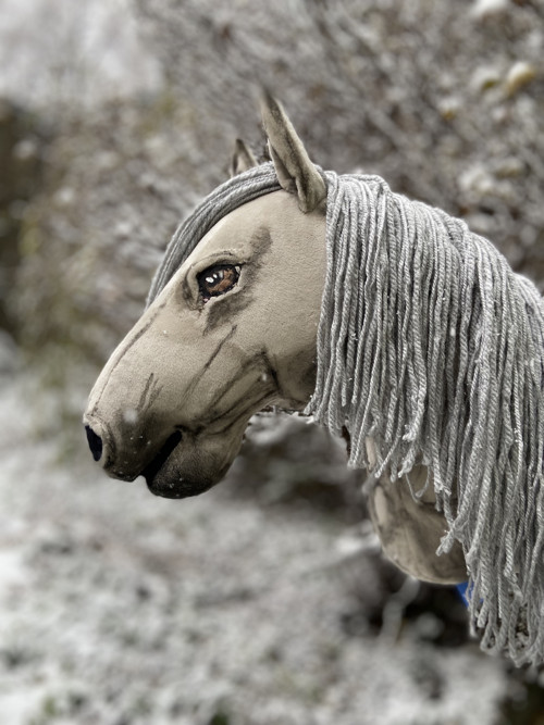 Grošák - Hobby horse — foto 1