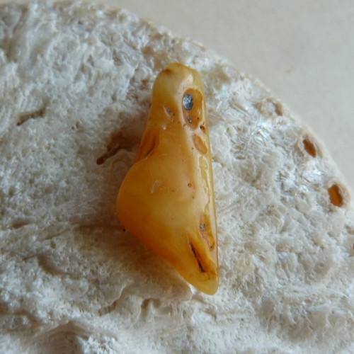 Jantar Polsko Gdaňsk - 3,2 cm