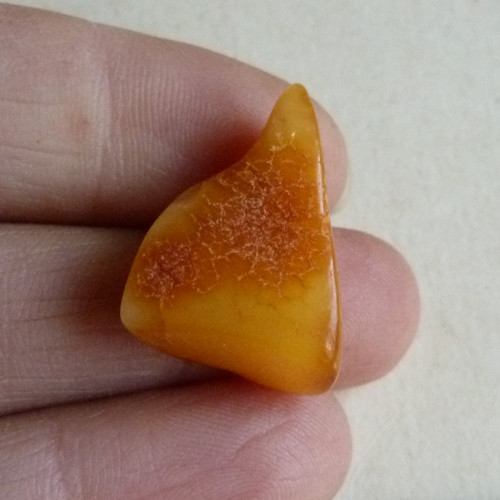 Jantar Polsko Gdaňsk - 2,2 cm
