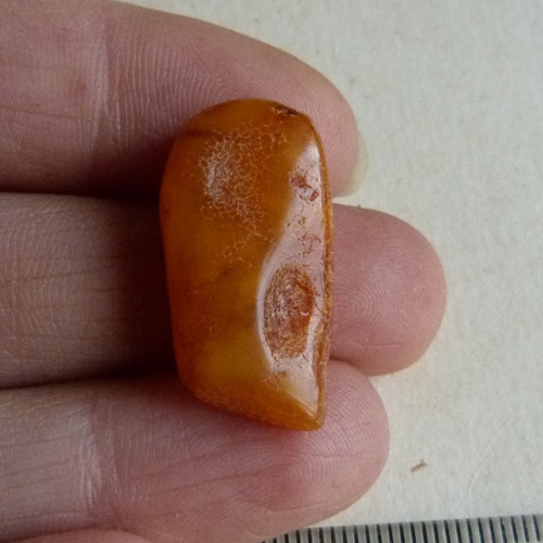 Jantar Polsko Gdaňsk - 2,6 cm