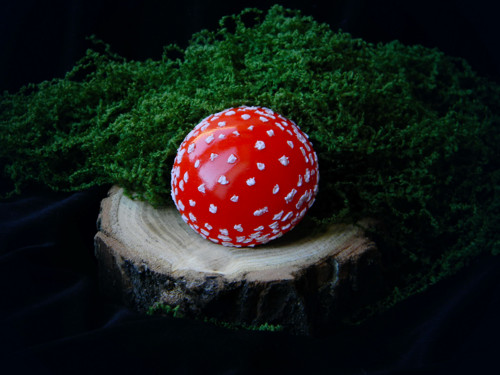 Fly Agaric — foto 1