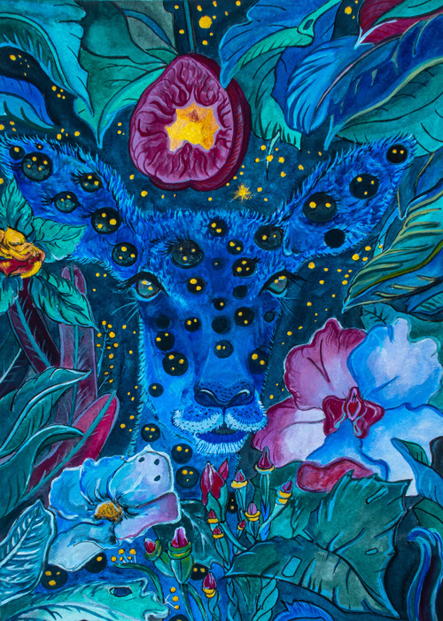 Magická antilopa