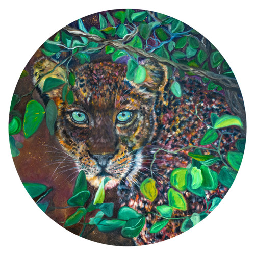 Leopard — foto 1