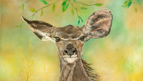 Antilopa kudu