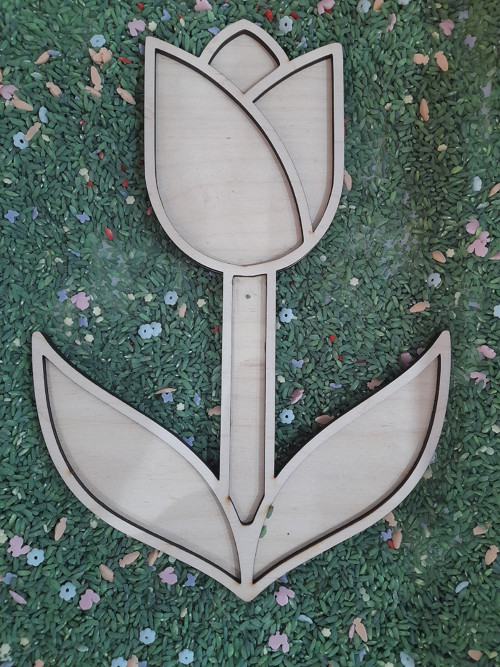 Tulipán