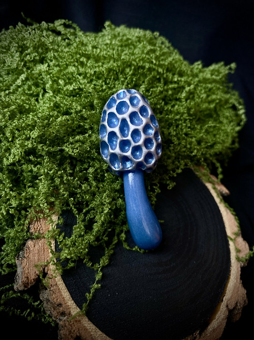 Morel