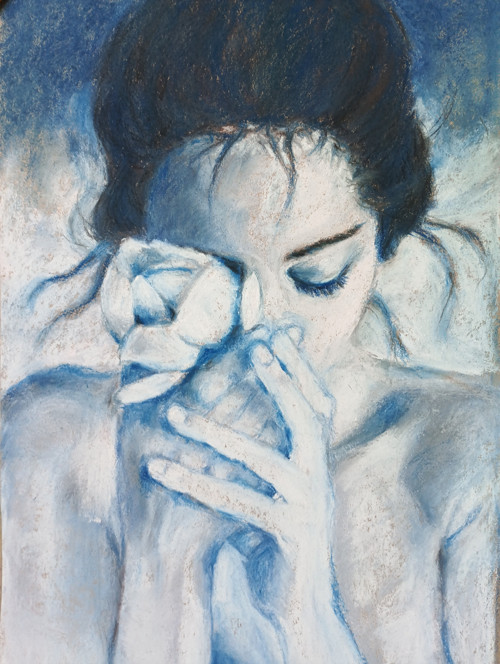 Tulipán