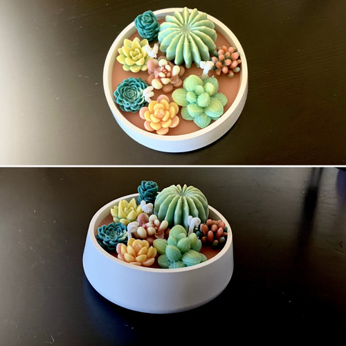 Sójová svíčka sukulenty