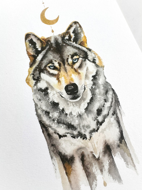 Vlk - akvarel, tisk A3