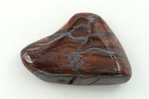 Býčí oko 4,1 cm — foto 1
