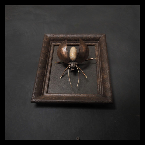 Beetle - brouk Cyril Listový v rámu