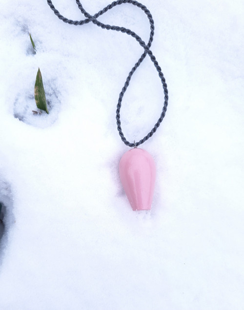 Růžový tulipán