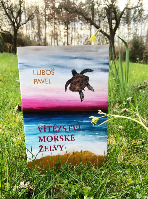 Vítězství mořské želvy