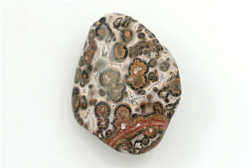 Jaspis leopardí 4,1 cm — foto 1