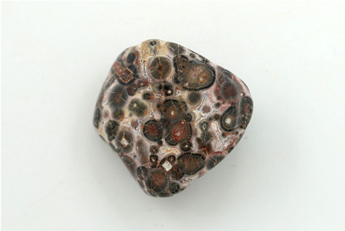 Jaspis leopardí 3 cm — foto 1
