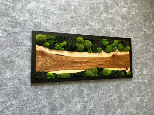 Mechový obraz 95x40cm