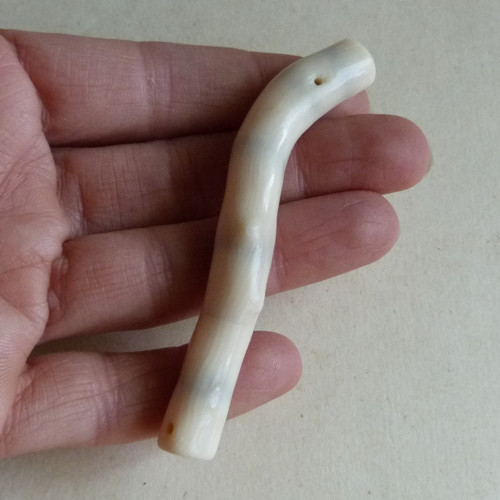 Korál bílý - 8 cm