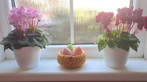 Hnízdo s vajíčky