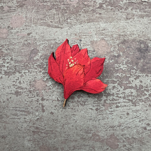 Magnolie — foto 1