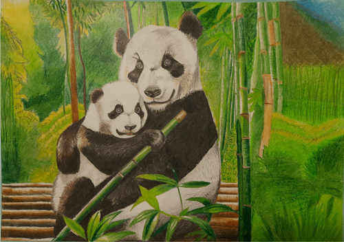 Pandí obejmutí — foto 1